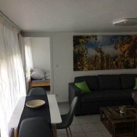 Gemuetliche, Ruhig Gelegene Wohnung In Cochem Exteriör bild
